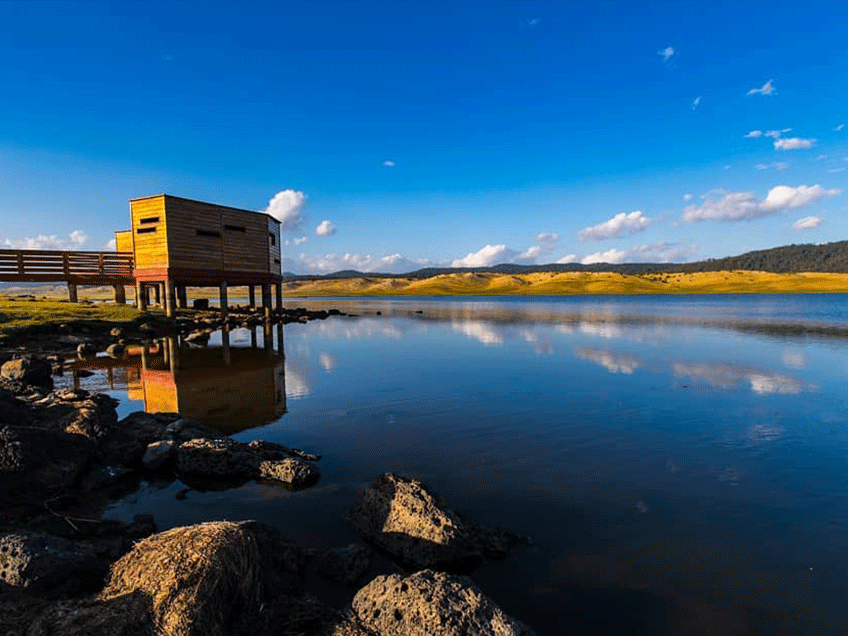 Parc_national_ifrane